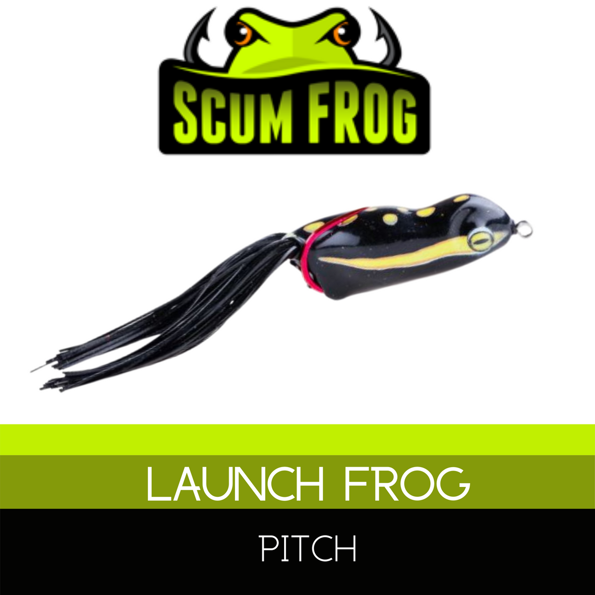 Scum Frog Launch Frog Leopard